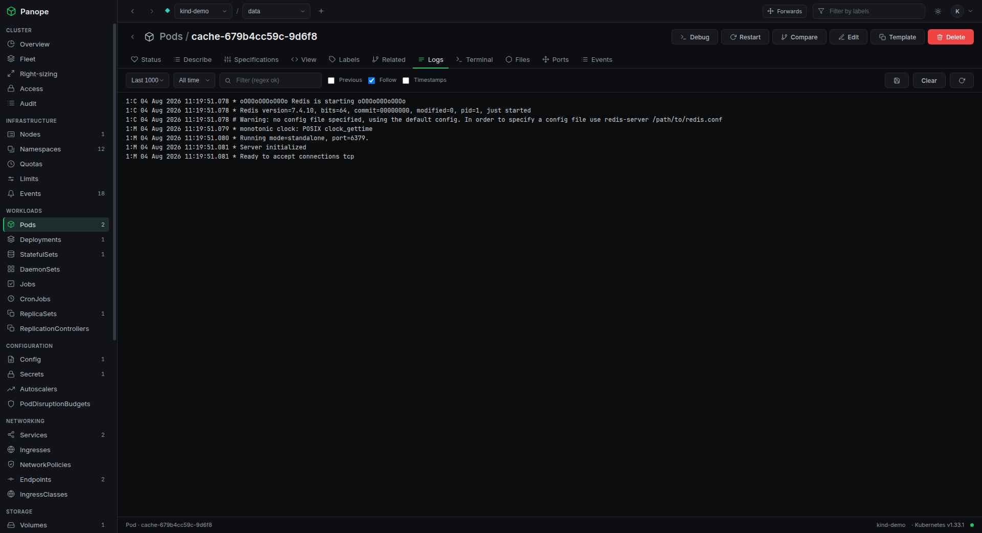 Streaming pod logs with filter and container controls.