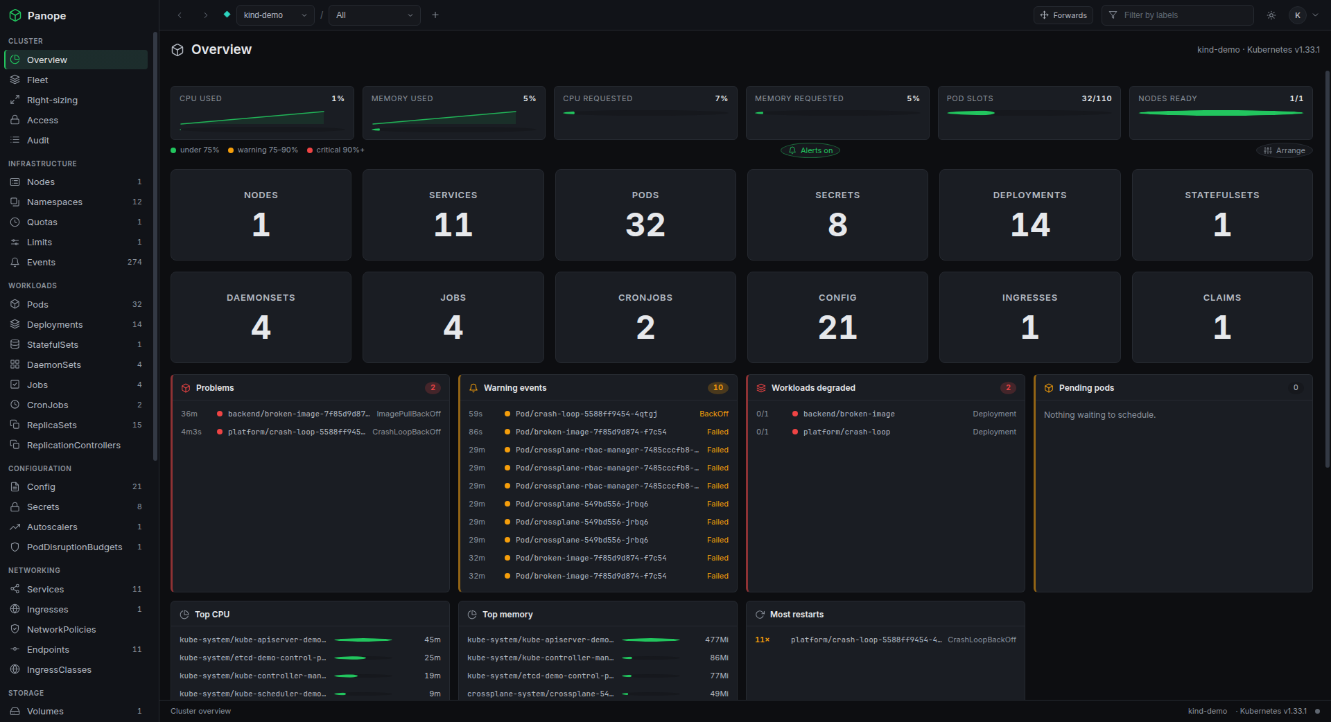 Panope cluster overview: usage gauges with sparklines, resource counts, problem and warning panels, top CPU and memory, node and storage summaries.